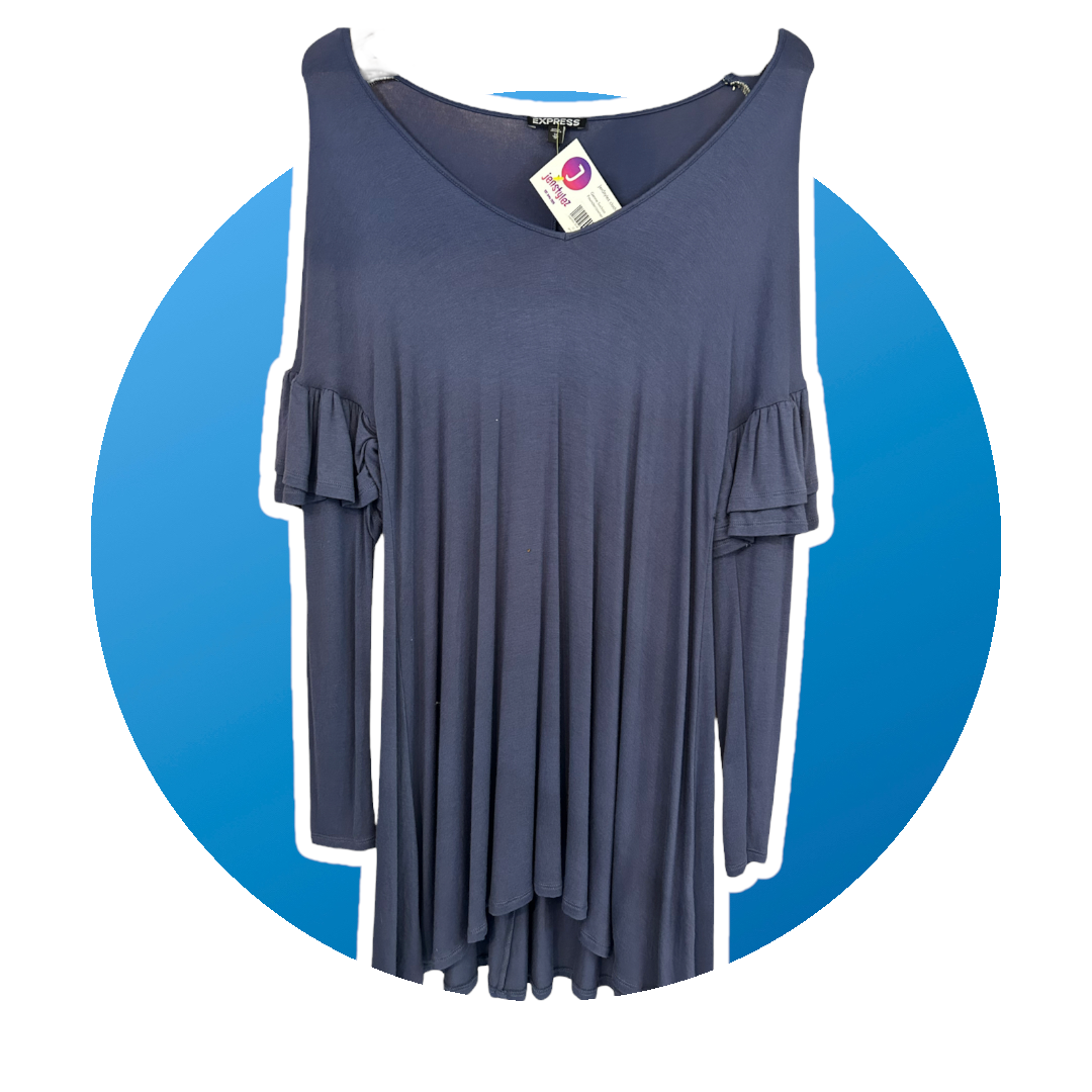 Express Blue Dress
