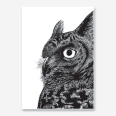 Hand Drawn Owl