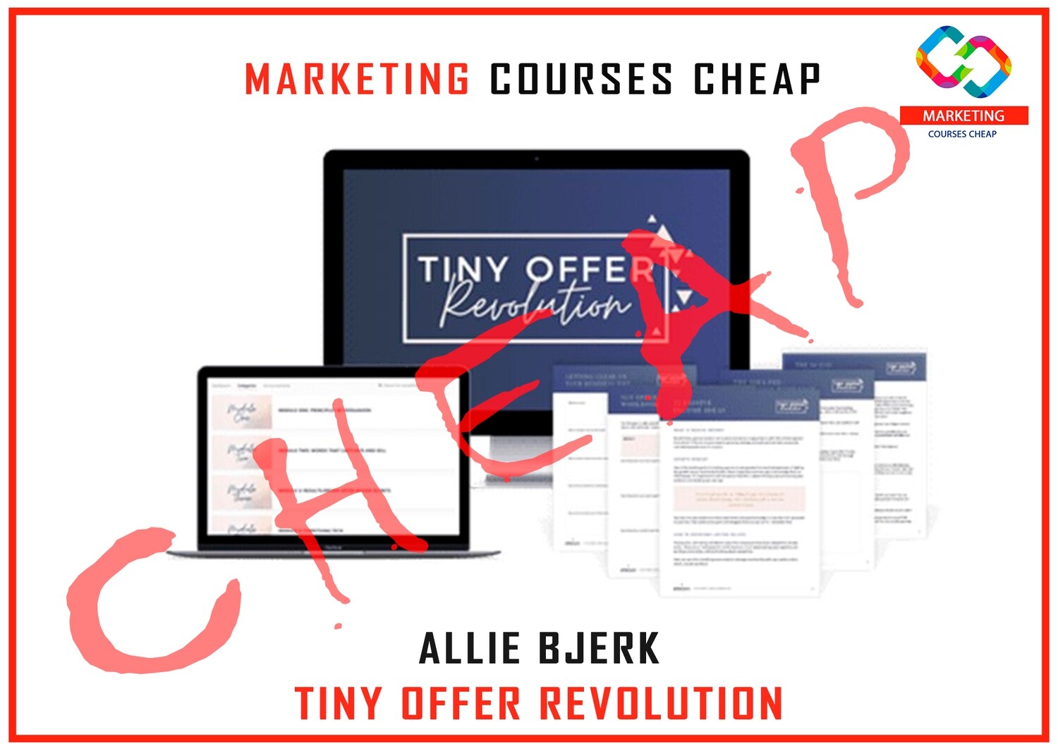 Allie Bjerk - Tiny Offer Revolution