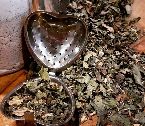 Spearmint &amp; Licorice Root