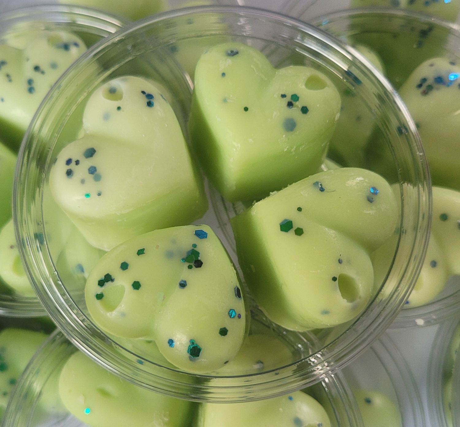 Lenny frosted eucalyptus pots 