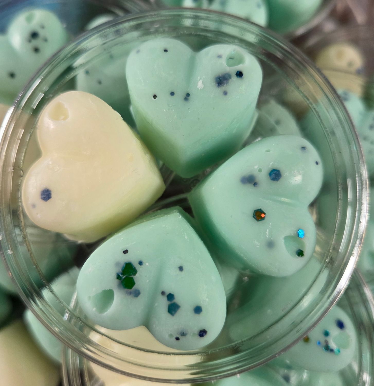Lenny Frosted eucalyptus pots 