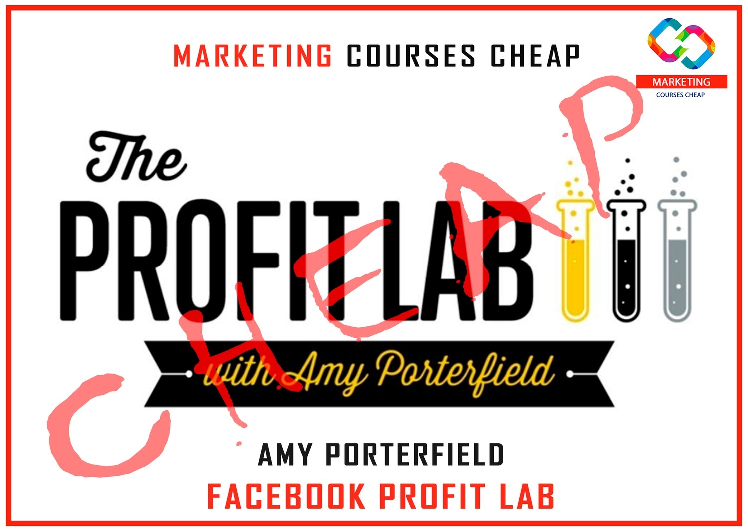 Amy Porterfield - Facebook Profit Lab