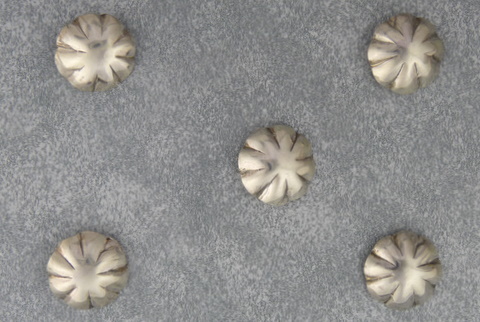 Silver Hogan Style Buttons