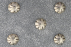 Sterling silver 5/8&quot; &quot;hogan design