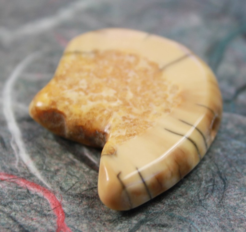Fossil Walrus Tusk Bead