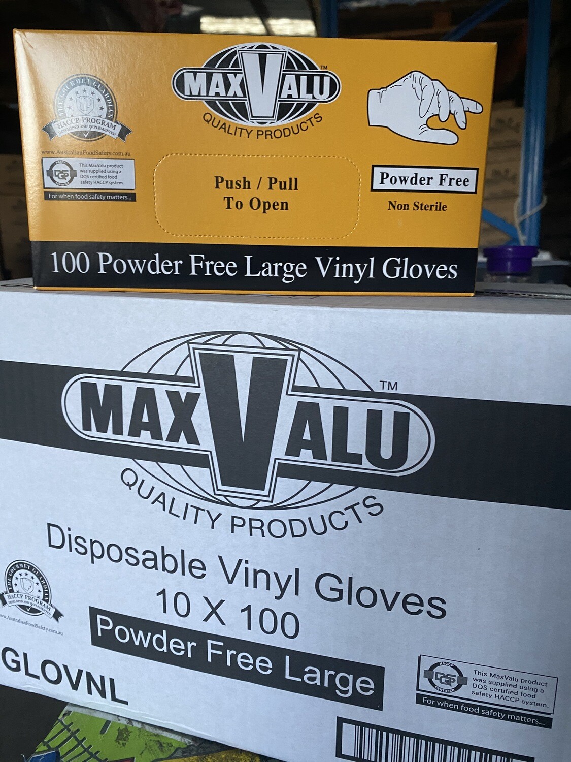 Disposable Vinyl Gloves CLEAR MEDIUM Carton 10 packs of 100 Powder Free