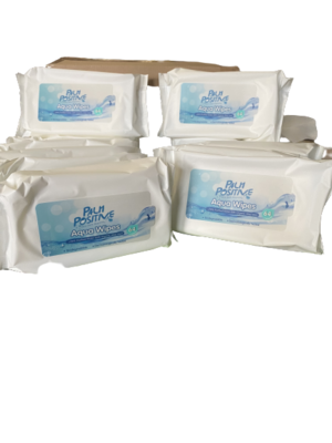 Aqua Water Wipes Organic Aloe Vera 12 packs of 64 flip top lid