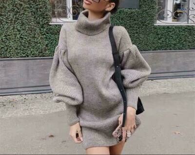 Turtle neck dress