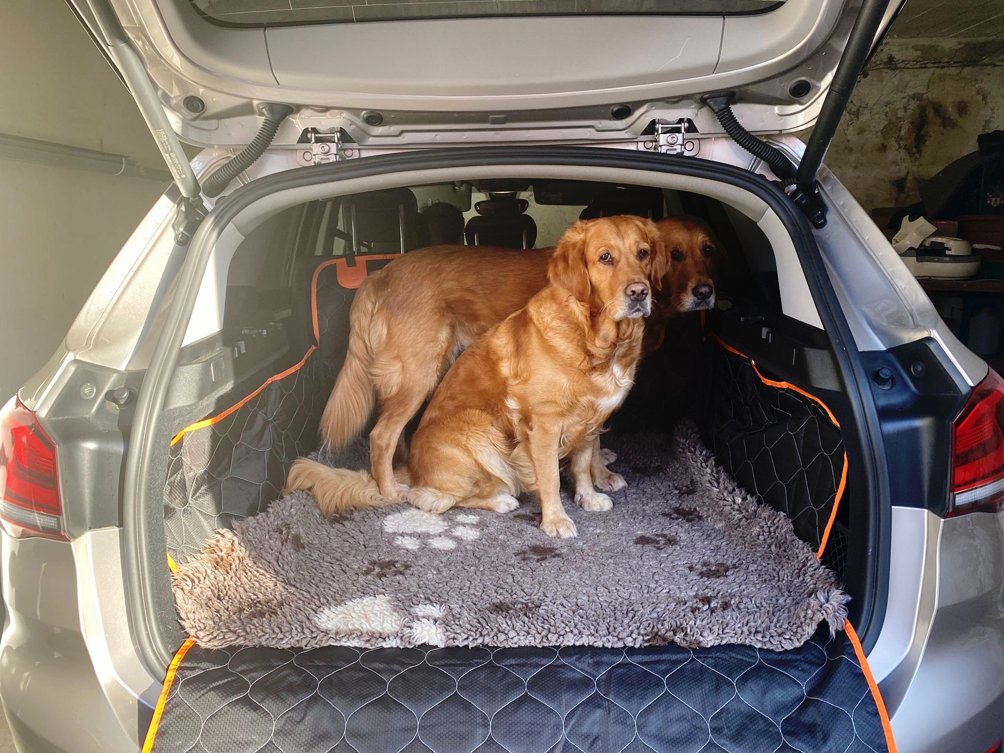 Hund Auto Sitz Abdeckung Pet Reise Hund Träger Kofferraum Matte