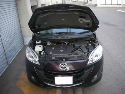 Haubenlifter passend für Mazda Premacy CW 2010-2018 Haubenlifter passend für Mazda Premacy CW 2010-2018