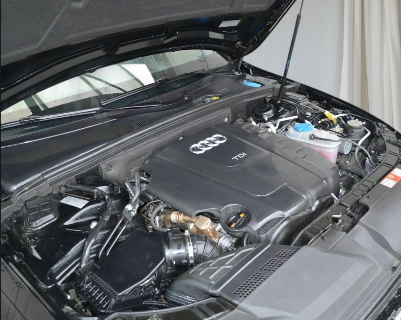 Premium Haubendämpfer und Haubenlifter passend für Audi – Ideal für Fahrzeugveredelung, Fahrzeugtuning und einfaches Öffnen der Motorhaube. Erhältlich in verschiedenen Farben und mit einfacher Montage ohne Bohren. Hochwertige Qualität für verbessertes Fahrerlebnis. Jetzt kaufen und den Unterschied spüren! Haubendämpfer passend für Audi, Haubenlifter passend für Audi, Fahrzeugveredelung passend für Audi, Fahrzeugtuning passend für Audi, Haubenliftersystem passend für Audi, Haubenlift ohne Bohren passend für Audi, Tuning Zubehör passend für Audi, Zubehör passend für Audi, Fahrzeugteile passend für Audi, Styling passend für Audi