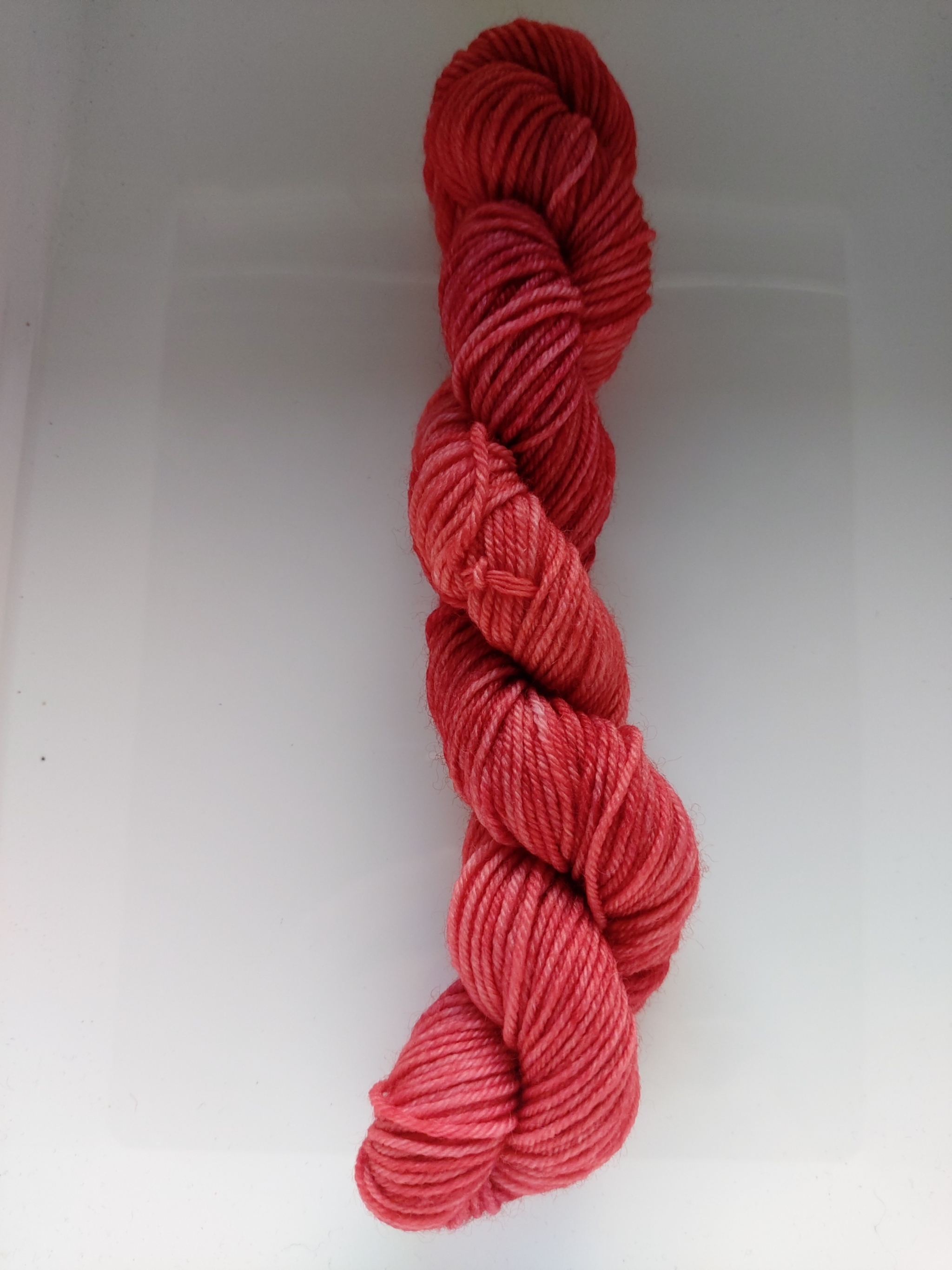 Mini - Oxblood Red 440