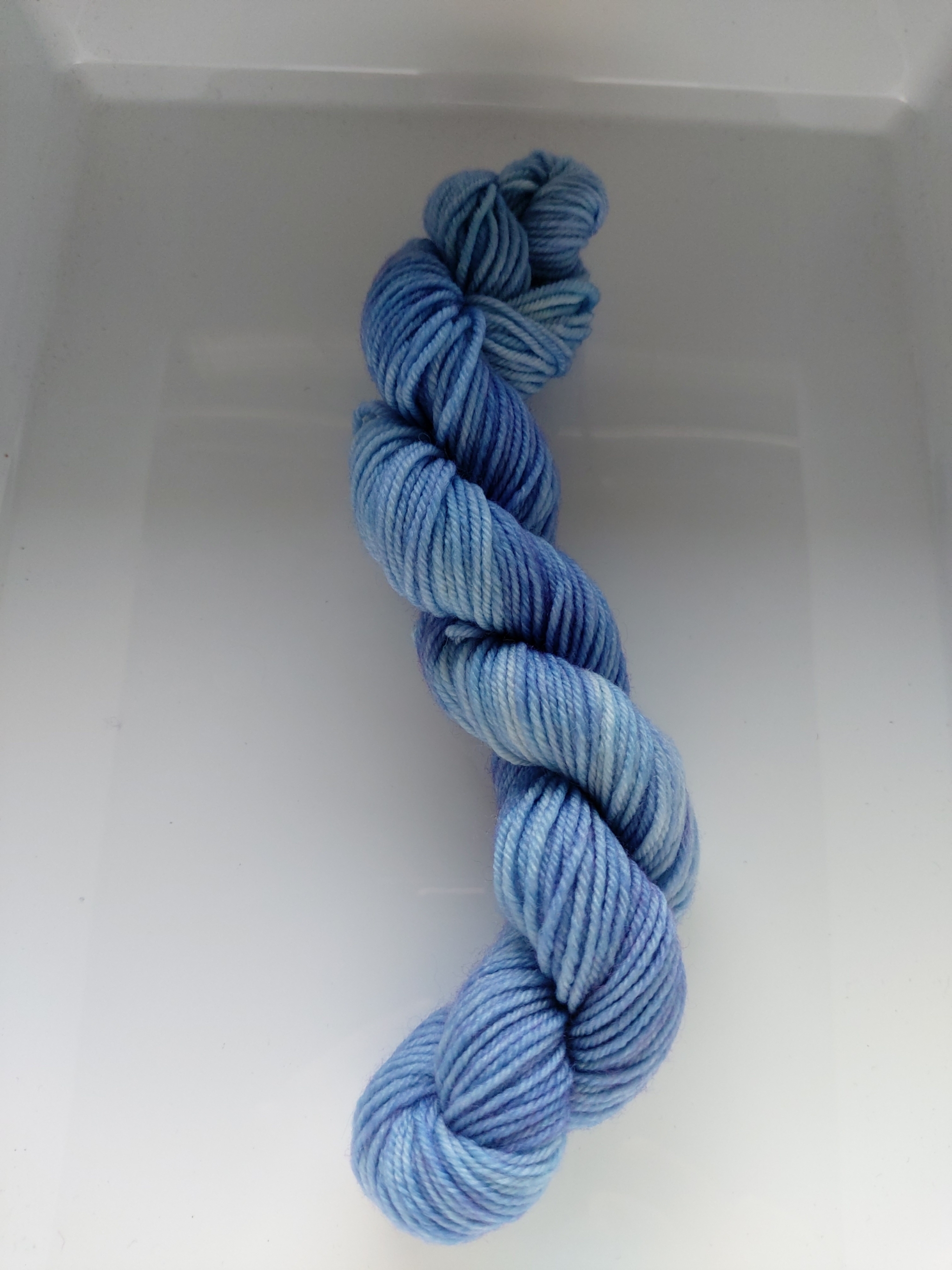 Mini - Delphinium Blue 482