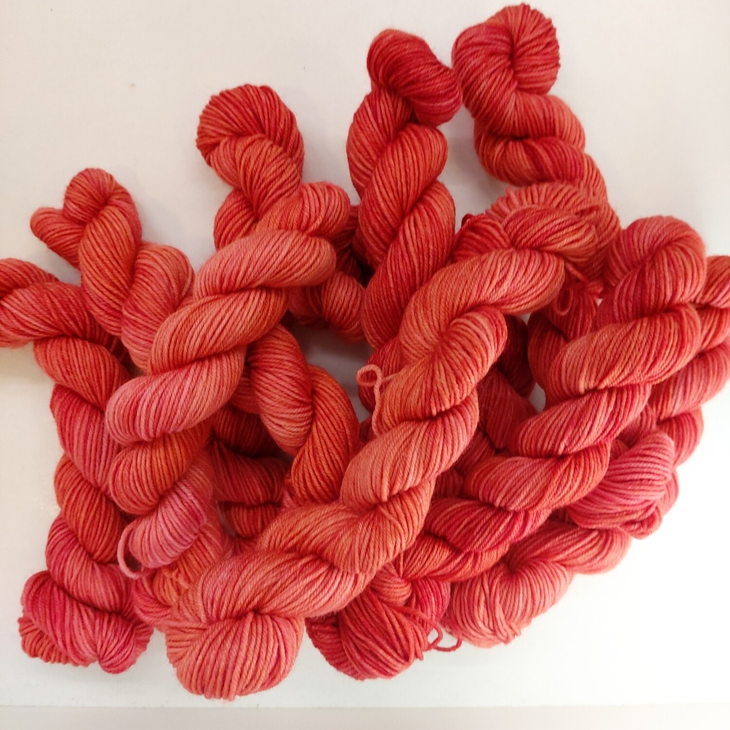 Mini - Paprika 368 Mini - Paprika 368