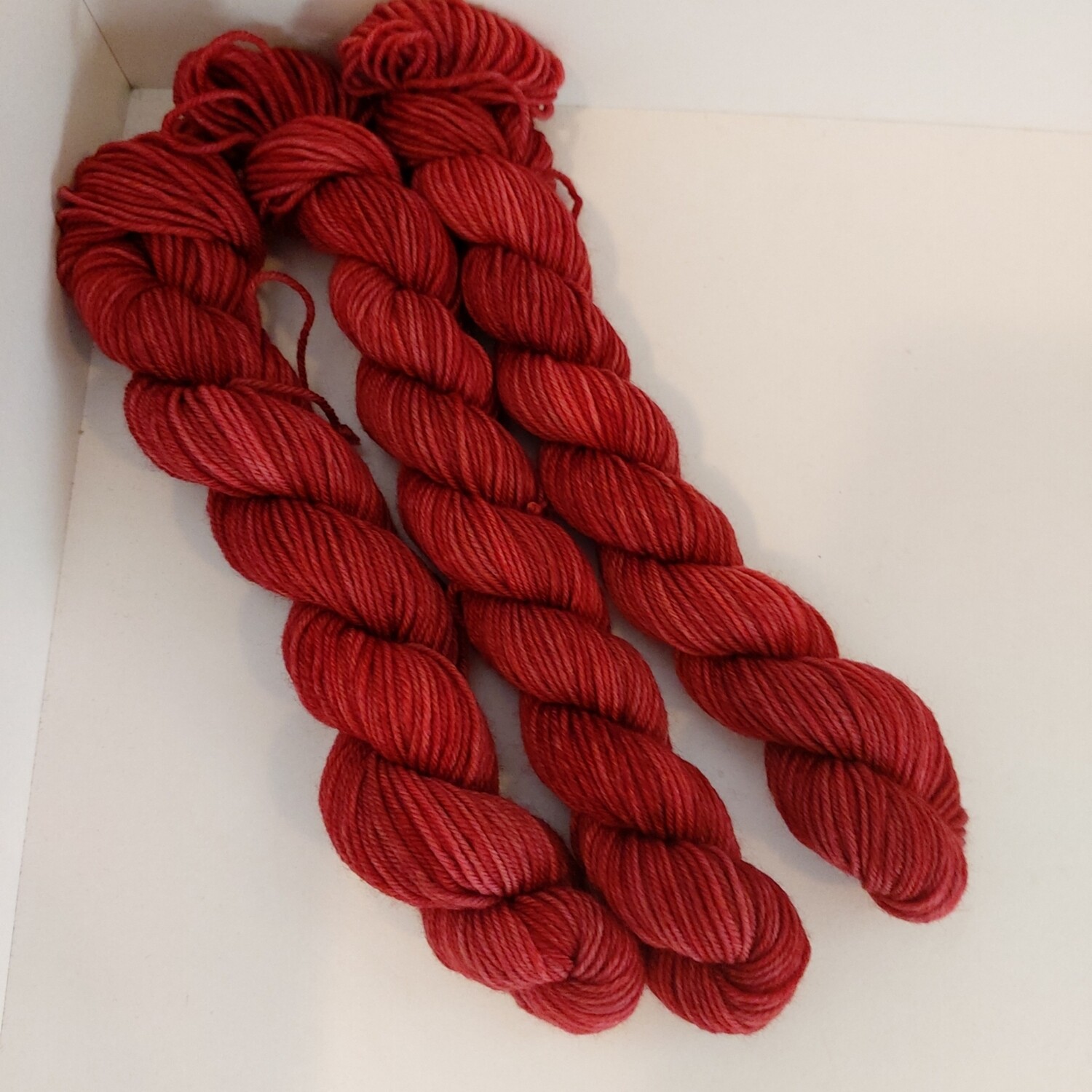 Mini - Chili Pepper 372