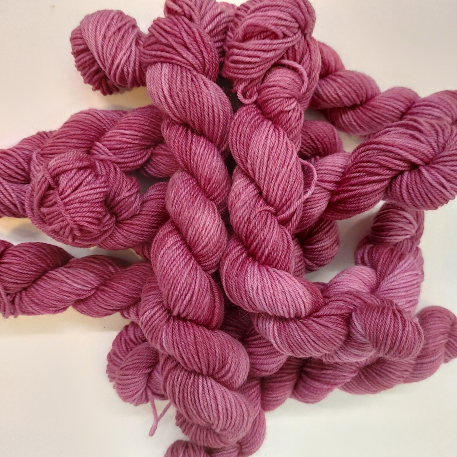 Mini - Capa Cod Cranberry 304