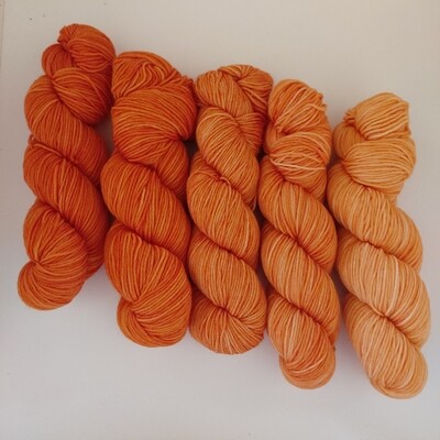 Fade Kit Burnt Orange 250g