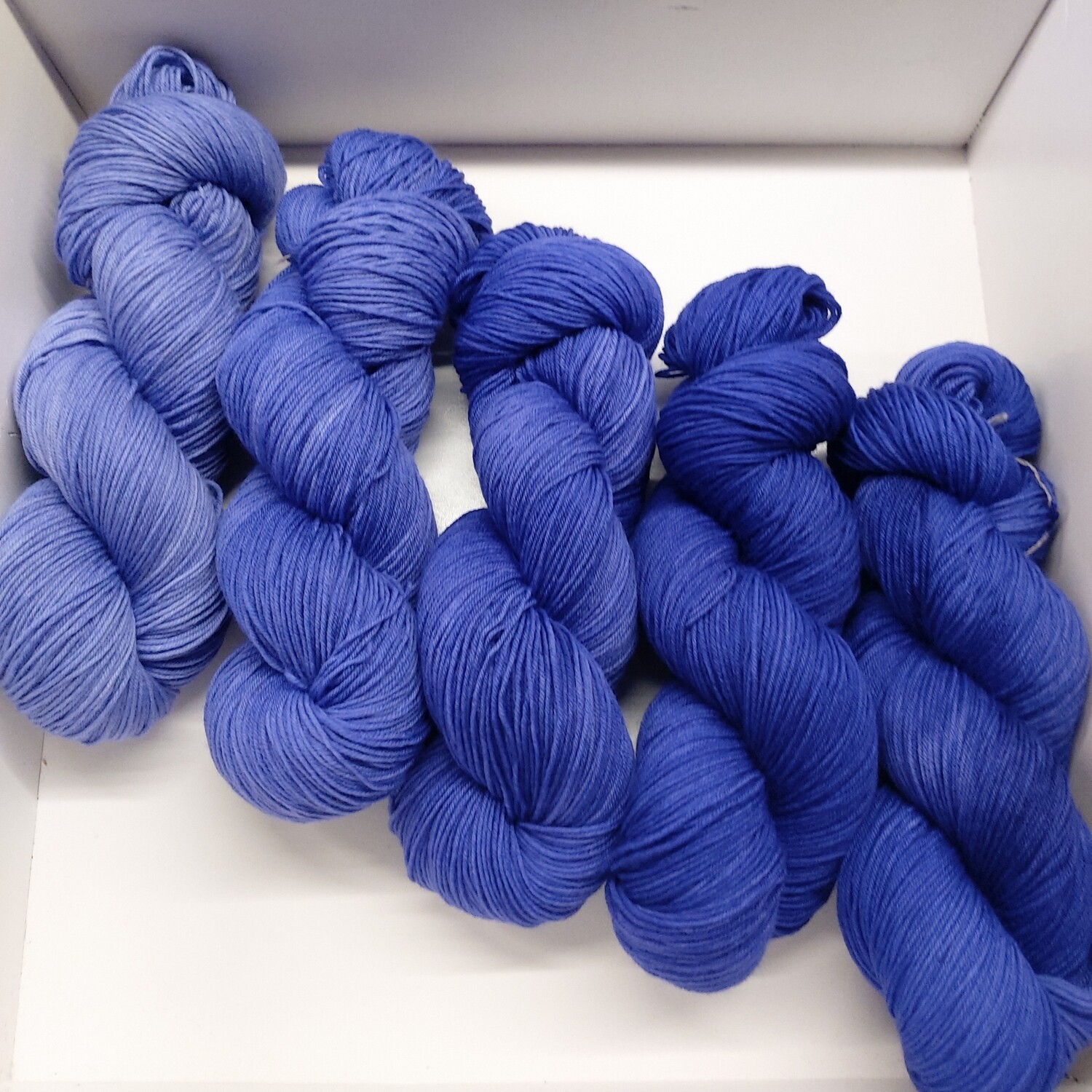 Fade Kit Intense Iris 500g