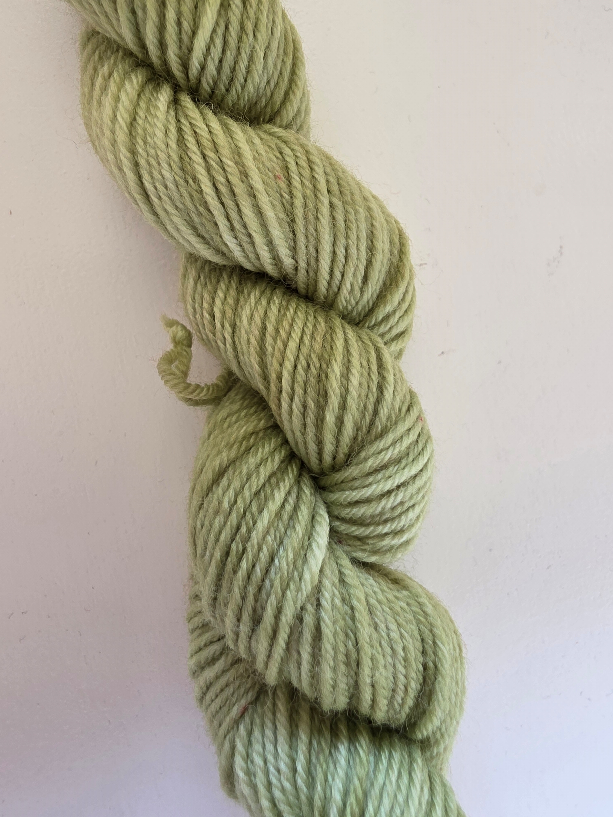 Mini - Lime in the coconut MD4