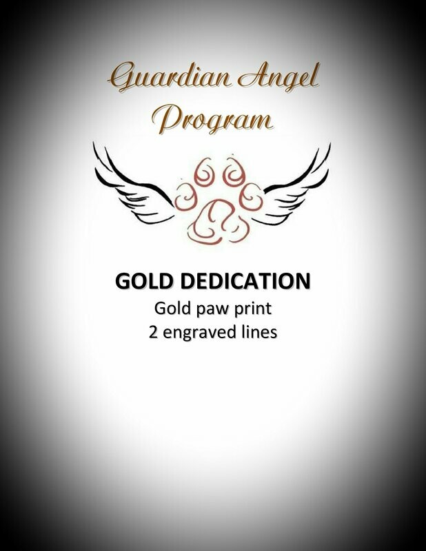 Gold Dedication