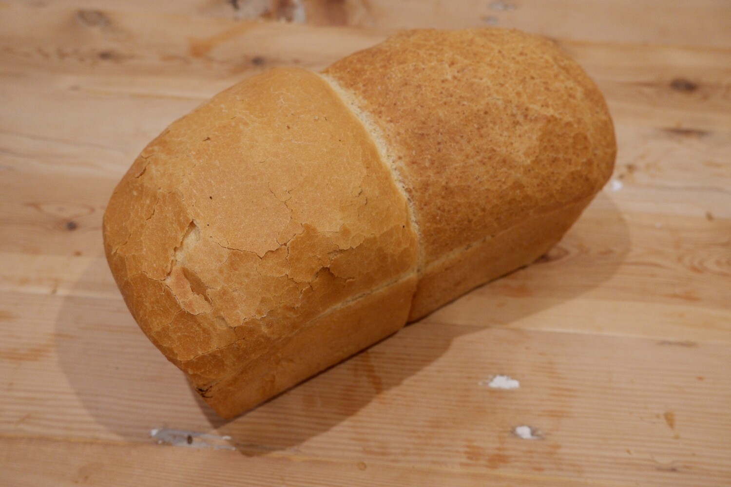 Duobrood