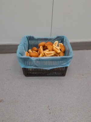 Grote bak Sandwiches (120 st)