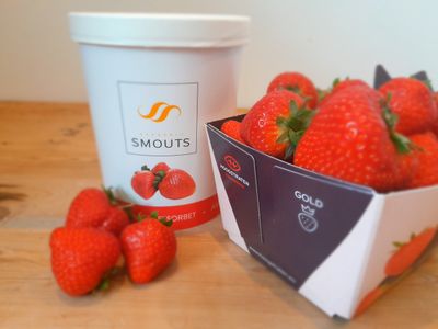 Potje Aardbei Sorbet klein