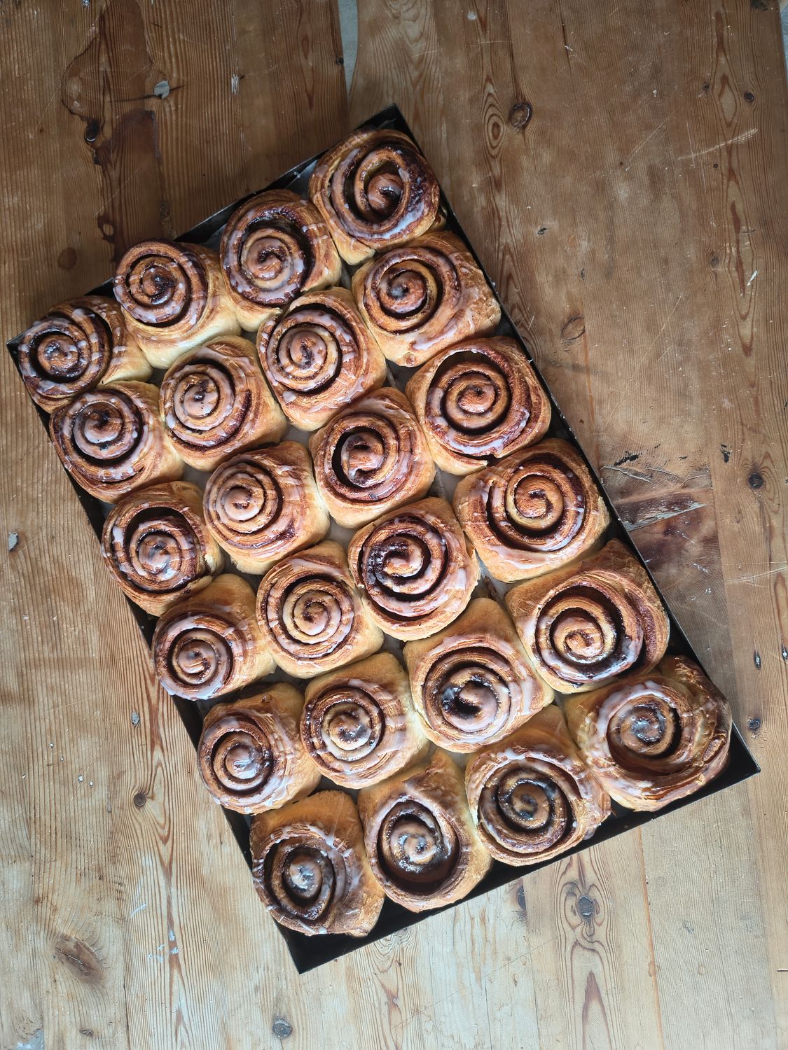 Cinnamon Rol