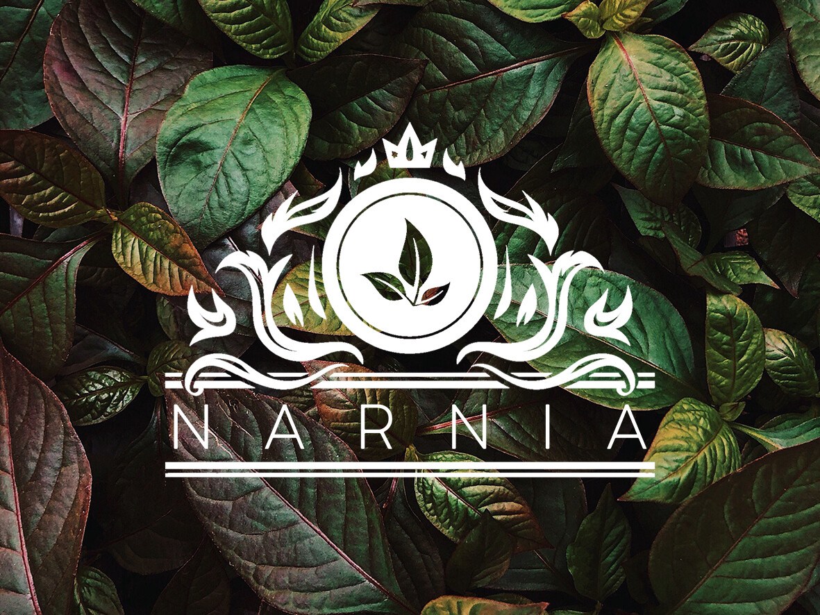Narnia 1 Kg (Red Based) Narnia 1 Kg (Red Based)