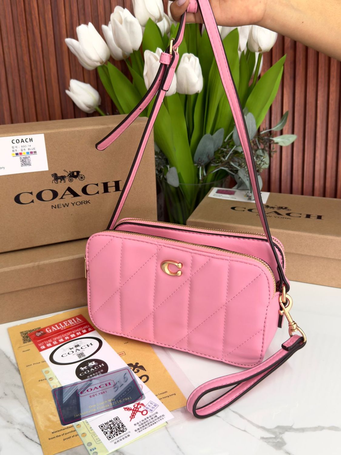 CO0485032