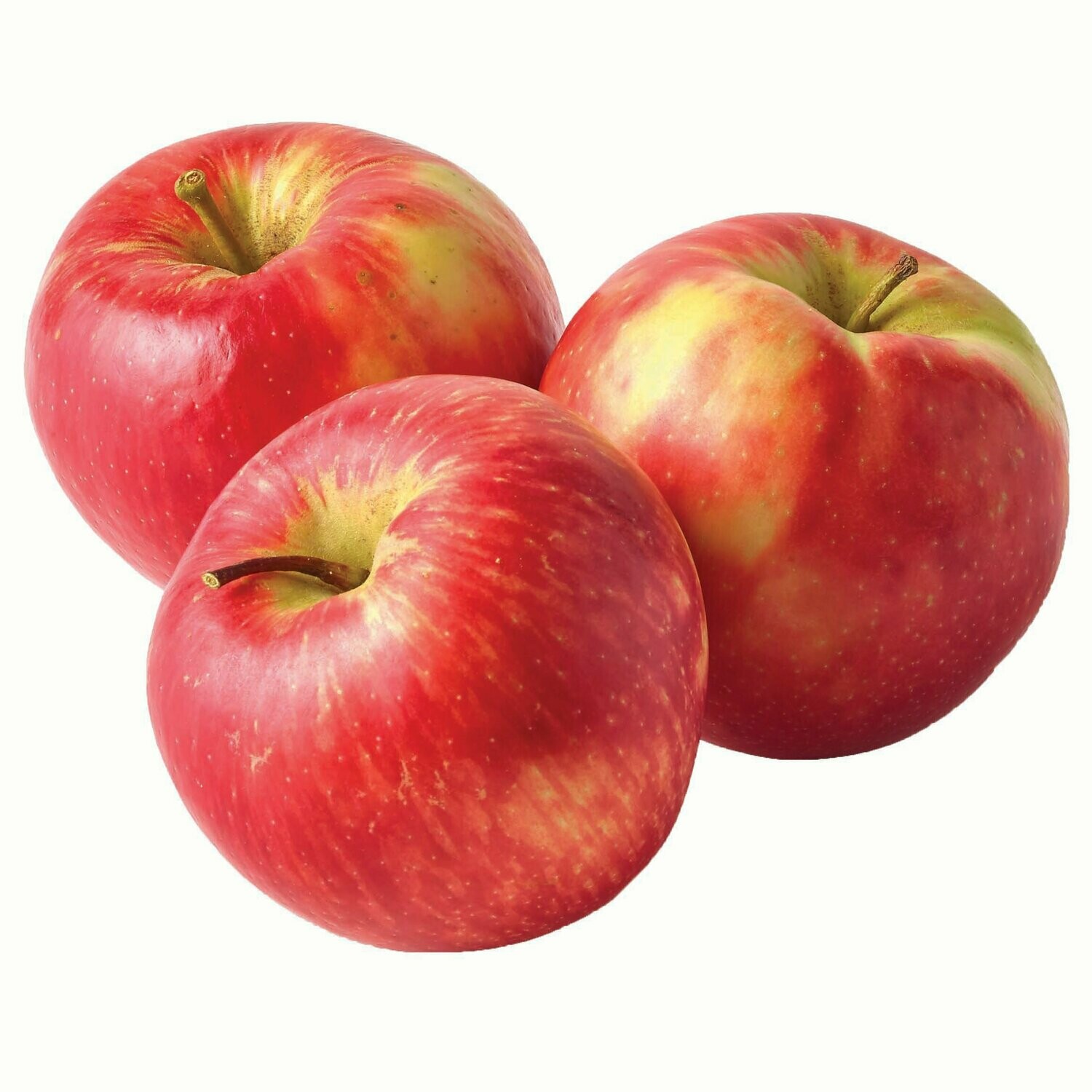 APPLES - HONEY CRISP APPLES - HONEY CRISP