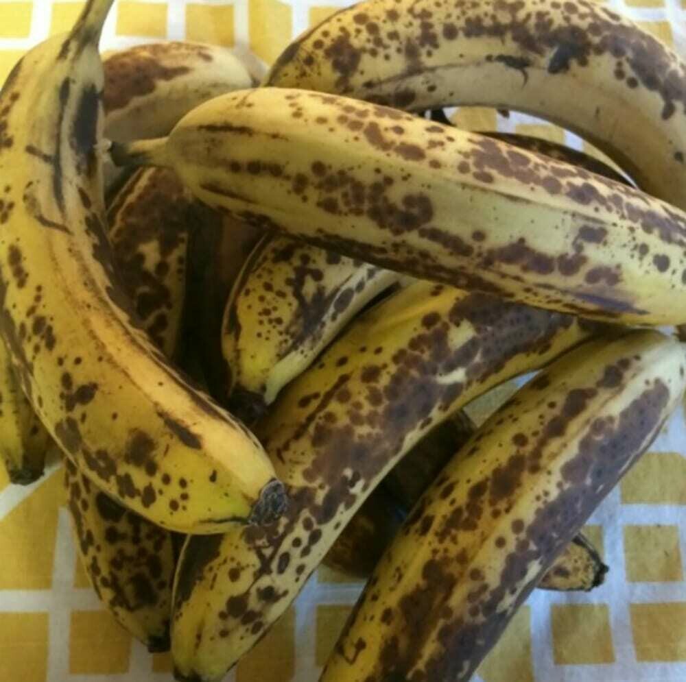 BANANAS - BAKING BANANAS - BAKING
