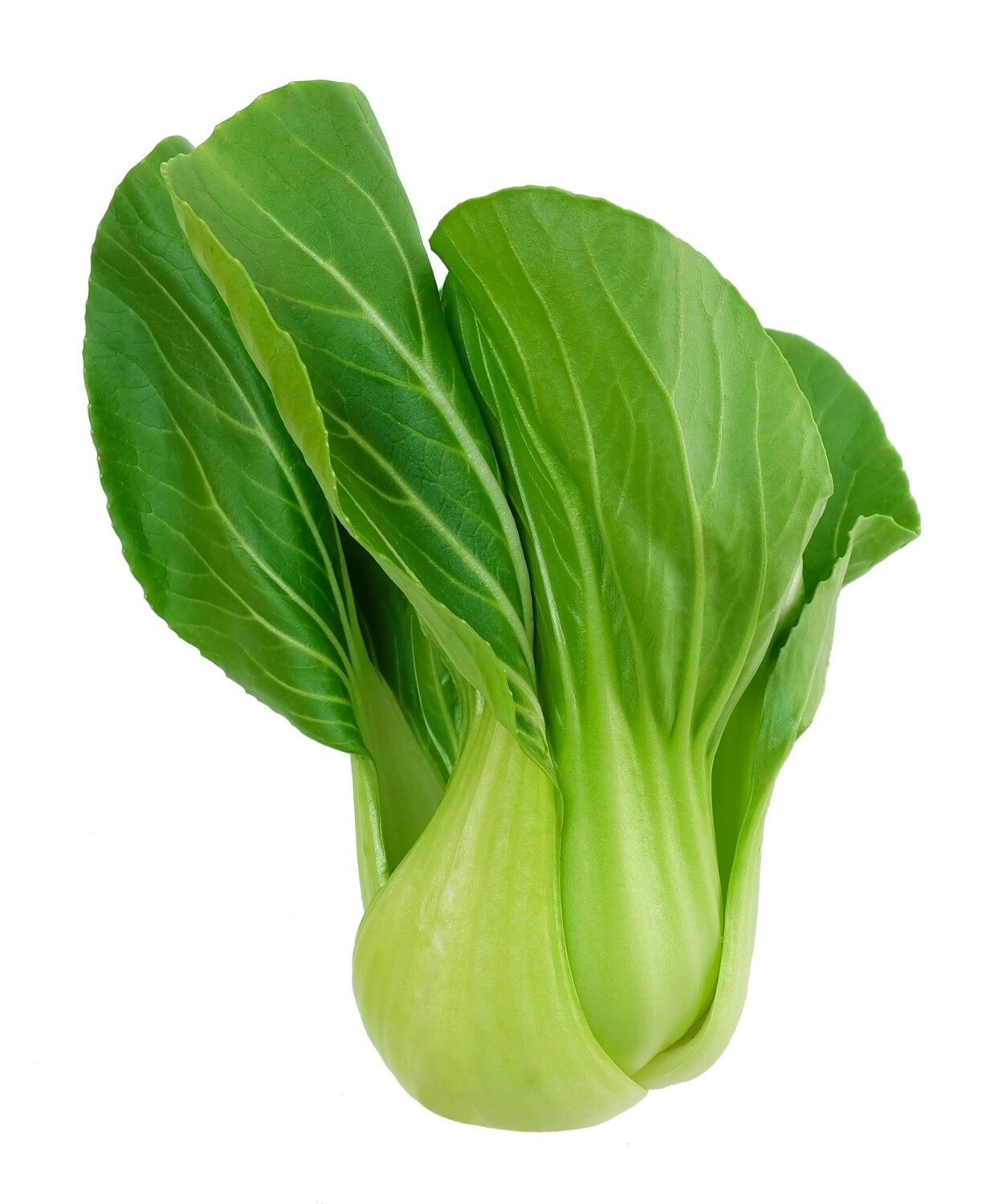 BABY BOK CHOY BABY BOK CHOY