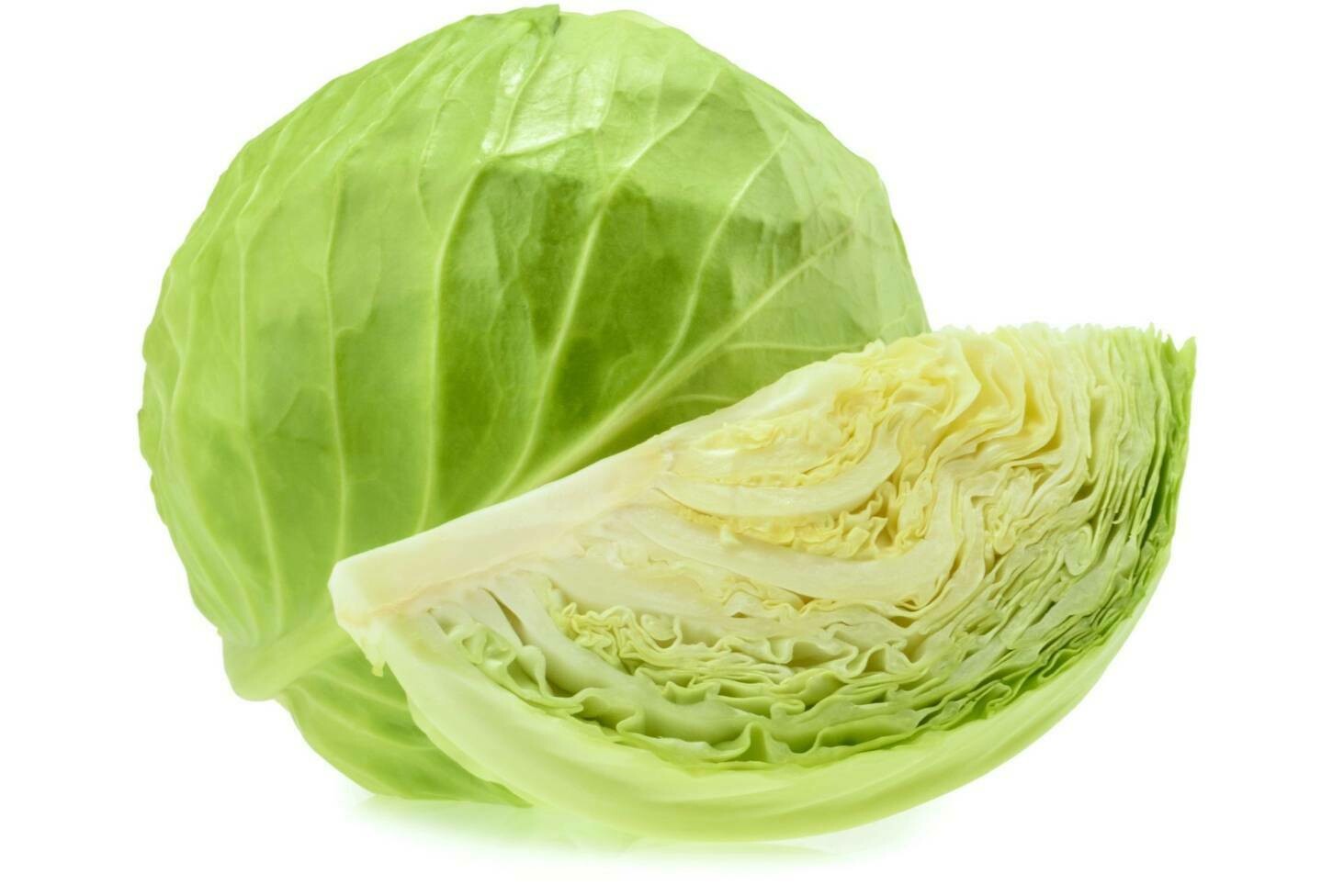 CABBAGE - GREEN CABBAGE - GREEN