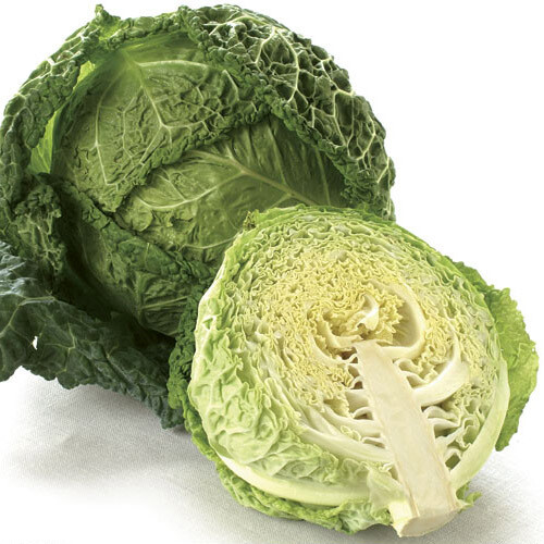 CABBAGE - SAVOY CABBAGE - SAVOY
