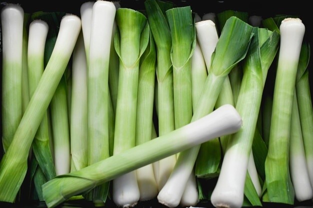 LEEK LEEK