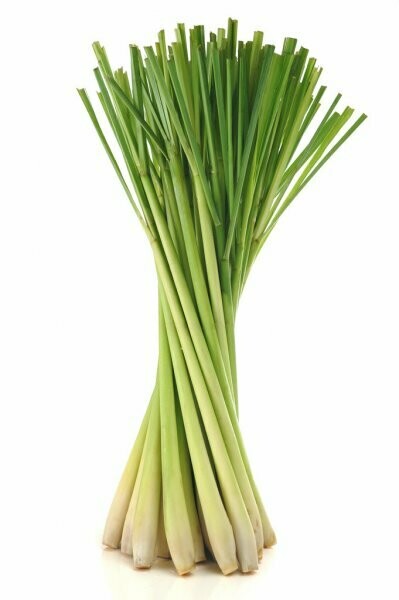 LEMONGRASS LEMONGRASS