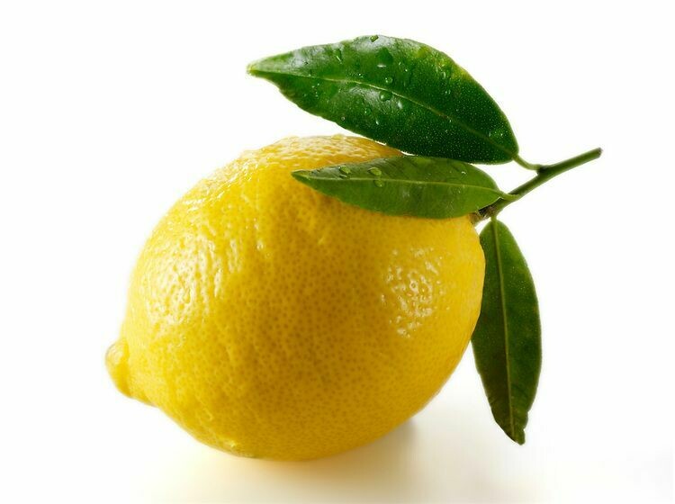 LEMONS LEMONS