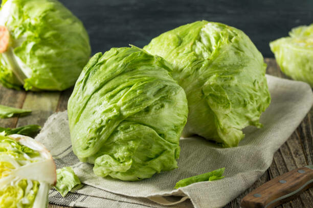 LETTUCE - ICEBERG LETTUCE - ICEBERG