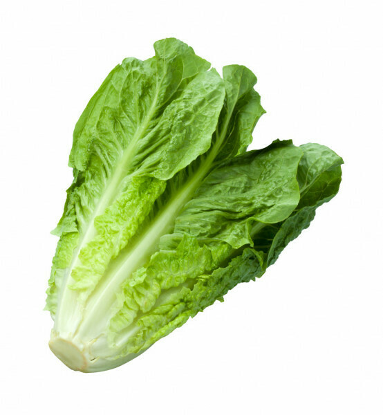 LETTUCE - ROMAINE LETTUCE - ROMAINE