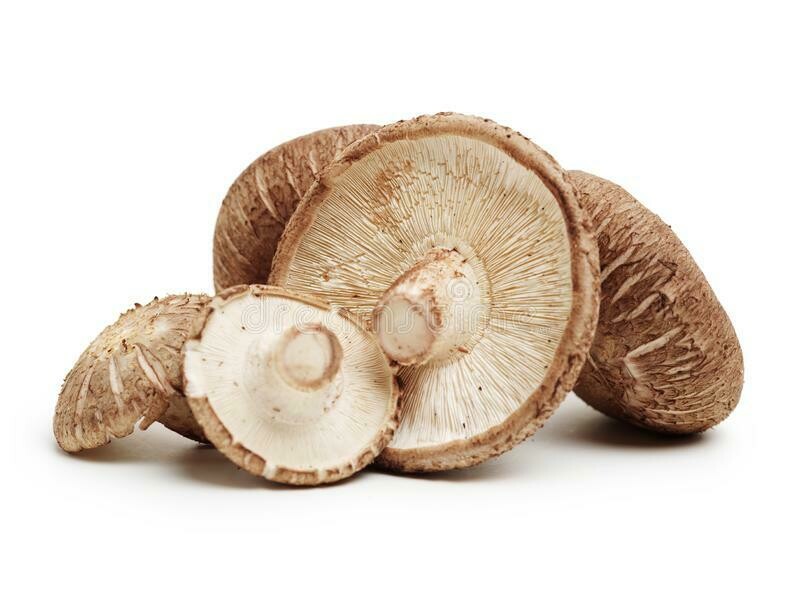 MUSHROOMS - SHIITAKE MUSHROOMS - SHIITAKE
