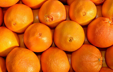 ORANGES - NAVEL (USA) ORANGES - NAVEL (USA)