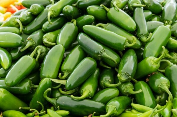 PEPPER - JALAPENO PEPPER - JALAPENO