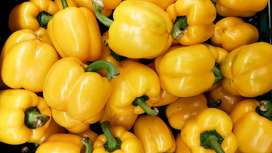 PEPPER - YELLOW PEPPER - YELLOW