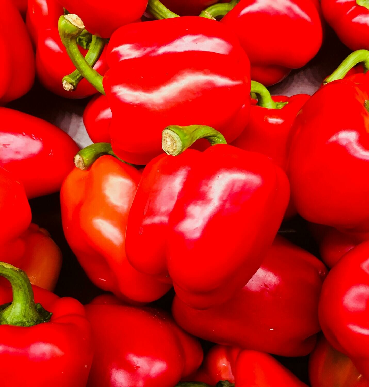 PEPPER - RED PEPPER - RED