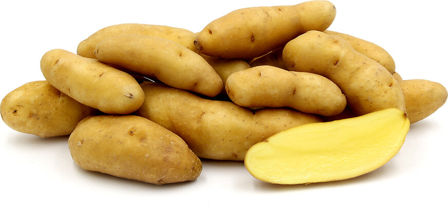 POTATOES - FINGERLING POTATOES - FINGERLING