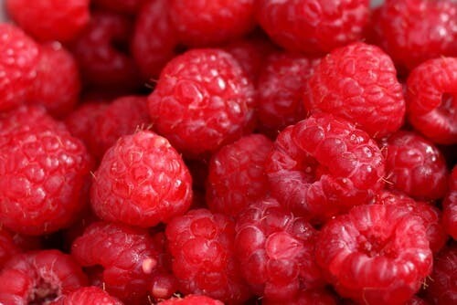 RASPBERRIES 1/2 Pints (US) RASPBERRIES 1/2 Pints (US)
