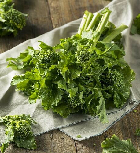 RAPINI RAPINI