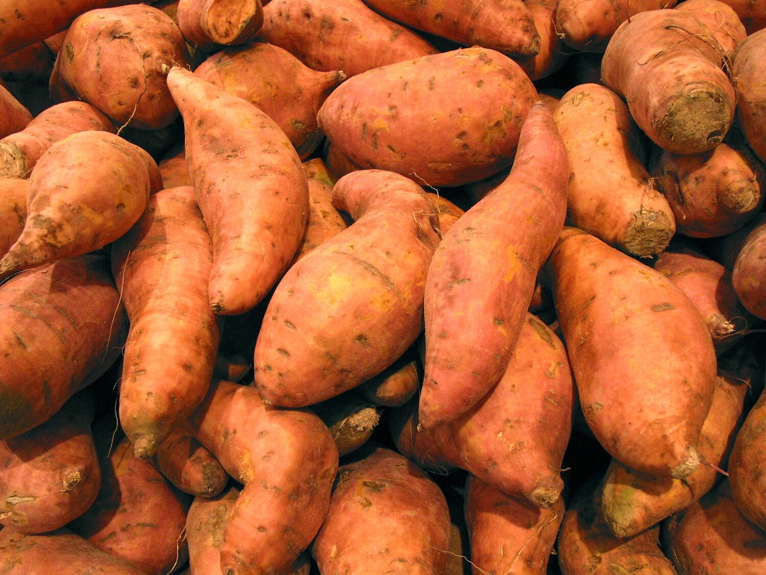 SWEET POTATOES SWEET POTATOES